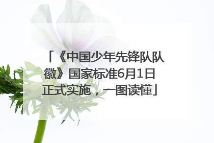 《中国少年先锋队队徽》国家标准6月1日正式实施，一图读懂