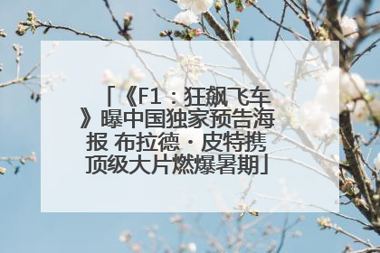 《F1：狂飙飞车》曝中国独家预告海报 布拉德・皮特携顶级大片燃爆暑期