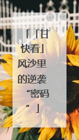 「甘快看」风沙里的逆袭“密码”