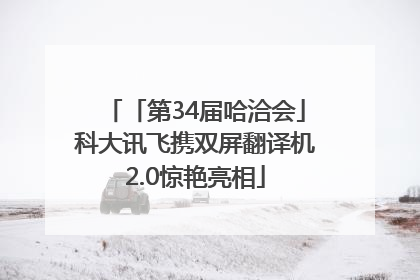 「第34届哈洽会」科大讯飞携双屏翻译机2.0惊艳亮相