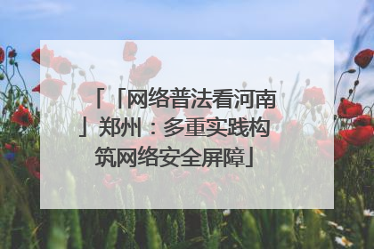 「网络普法看河南」郑州：多重实践构筑网络安全屏障