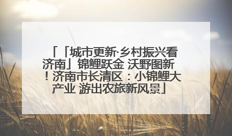 「城市更新·乡村振兴看济南」锦鲤跃金 沃野图新！济南市长清区：小锦鲤大产业 游出农旅新风景