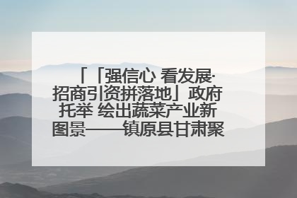 「强信心 看发展·招商引资拼落地」政府托举 绘出蔬菜产业新图景——镇原县甘肃聚广利现代设施蔬菜种植基地见闻