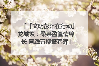 「文明彭泽在行动」龙城镇：桑果盈筐情绵长 育践五柳报春晖