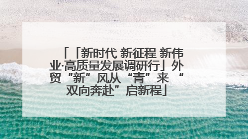 「新时代 新征程 新伟业·高质量发展调研行」外贸“新”风从“青”来 “双向奔赴”启新程