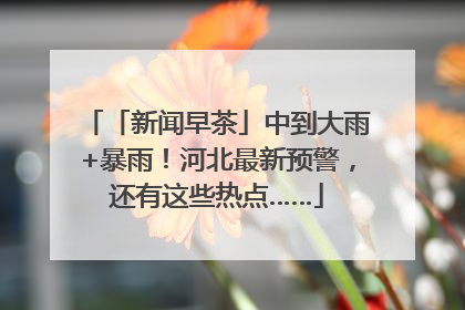 「新闻早茶」中到大雨+暴雨！河北最新预警，还有这些热点……