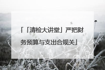 「清检大讲堂」严把财务预算与支出合规关