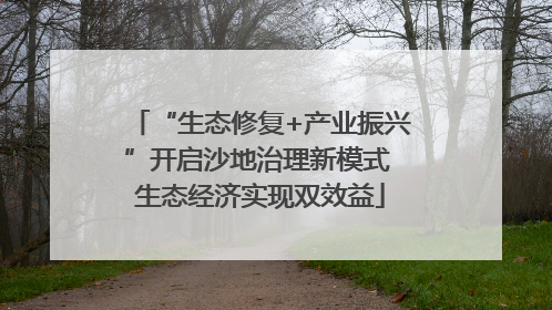 “生态修复+产业振兴”开启沙地治理新模式 生态经济实现双效益