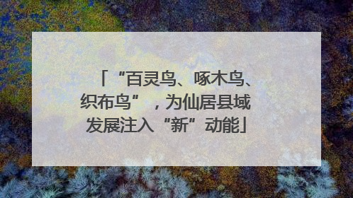 “百灵鸟、啄木鸟、织布鸟”，为仙居县域发展注入“新”动能