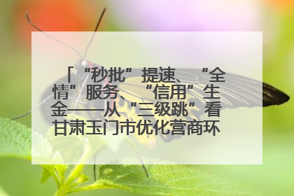 “秒批”提速、“全情”服务、“信用”生金——从“三级跳”看甘肃玉门市优化营商环境的进阶之路