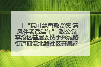“粽叶飘香敬贤德 清风伴老话端午” 致公党李沧区基层委携手兴城路街道四流北路社区开展端午节主题活动
