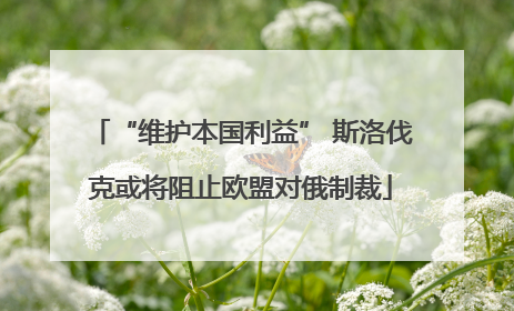 “维护本国利益” 斯洛伐克或将阻止欧盟对俄制裁