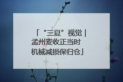 “三夏”视觉｜孟州麦收正当时 机械减损保归仓