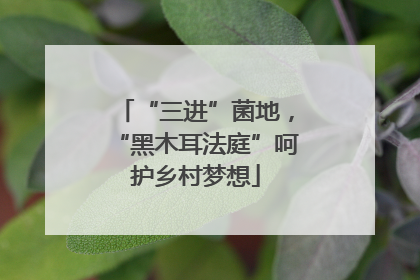 “三进”菌地，“黑木耳法庭”呵护乡村梦想