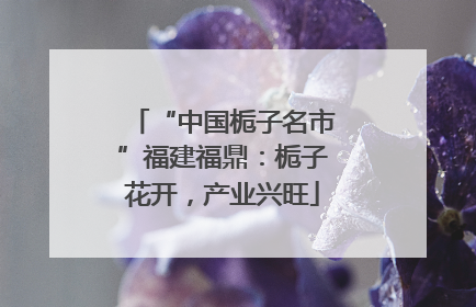 “中国栀子名市”福建福鼎：栀子花开，产业兴旺