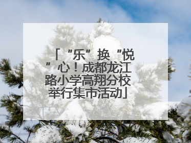 “乐”换“悦”心！成都龙江路小学高翔分校举行集市活动