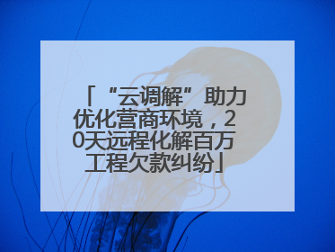 “云调解”助力优化营商环境，20天远程化解百万工程欠款纠纷
