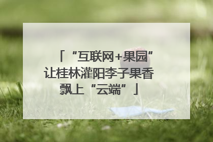 “互联网+果园”让桂林灌阳李子果香飘上“云端”