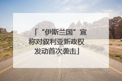 “伊斯兰国”宣称对叙利亚新政权发动首次袭击