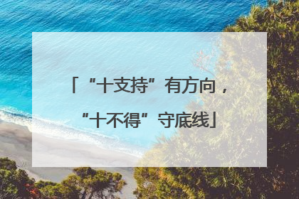 “十支持”有方向，“十不得”守底线