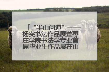 “半山问道”——杨雯书法作品展暨枣庄学院书法学专业首届毕业生作品展在山东省文化馆开幕