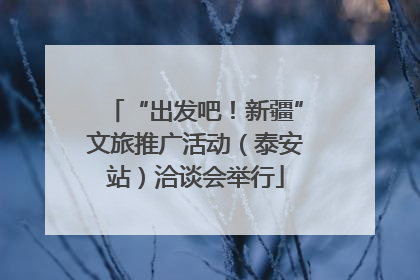 “出发吧！新疆”文旅推广活动（泰安站）洽谈会举行