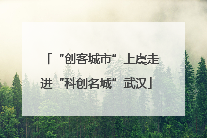 “创客城市”上虞走进“科创名城”武汉