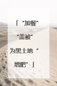 “加餐”“盖被” 为黑土地“增肥”