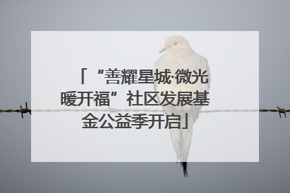“善耀星城·微光暖开福”社区发展基金公益季开启