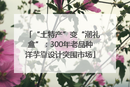 “土特产”变“潮礼盒”：300年老品种洋芋靠设计突围市场