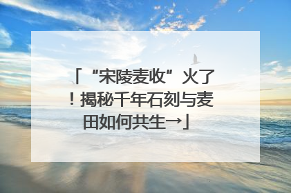 “宋陵麦收”火了！揭秘千年石刻与麦田如何共生→