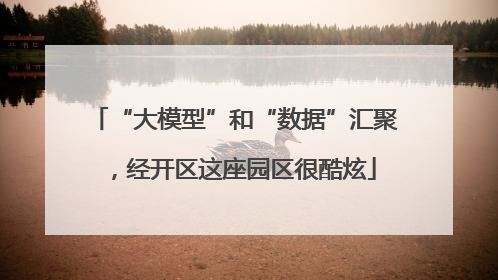 “大模型”和“数据”汇聚，经开区这座园区很酷炫