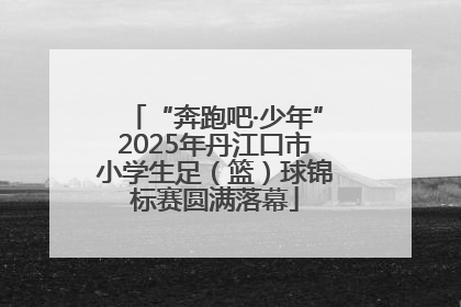 “奔跑吧·少年”2025年丹江口市小学生足（篮）球锦标赛圆满落幕