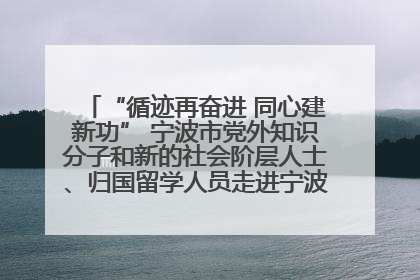 “循迹再奋进 同心建新功” 宁波市党外知识分子和新的社会阶层人士、归国留学人员走进宁波舟山港穿山港区