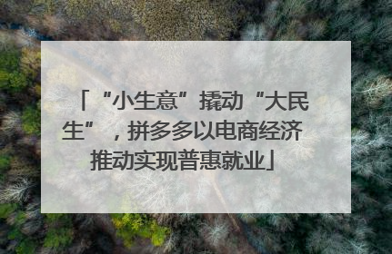 “小生意”撬动“大民生”，拼多多以电商经济推动实现普惠就业
