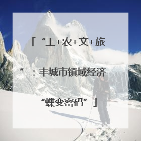 “工+农+文+旅”：丰城市镇域经济“蝶变密码”