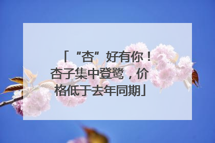 “杏”好有你！杏子集中登鹭，价格低于去年同期