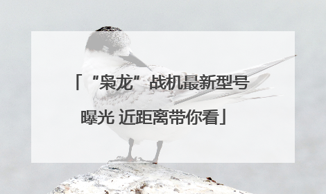 “枭龙”战机最新型号曝光 近距离带你看
