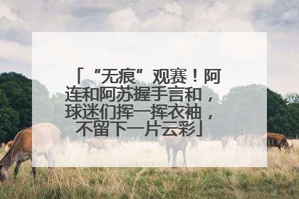 “无痕”观赛！阿连和阿苏握手言和，球迷们挥一挥衣袖，不留下一片云彩