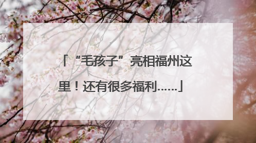 “毛孩子”亮相福州这里！还有很多福利……