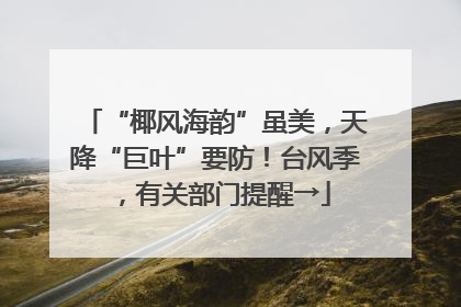 “椰风海韵”虽美，天降“巨叶”要防！台风季，有关部门提醒→