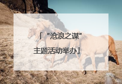 “沧浪之谋”主题活动举办