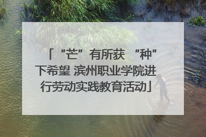 “芒”有所获 “种”下希望 滨州职业学院进行劳动实践教育活动
