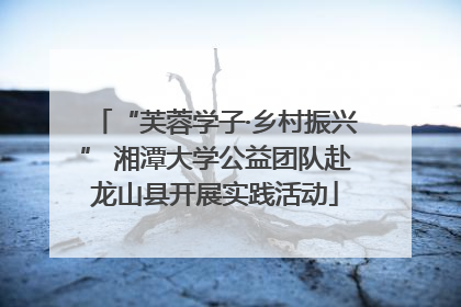“芙蓉学子·乡村振兴” 湘潭大学公益团队赴龙山县开展实践活动