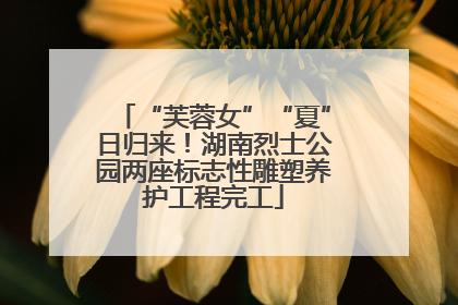 “芙蓉女”“夏”日归来！湖南烈士公园两座标志性雕塑养护工程完工