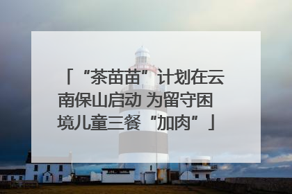 “茶苗苗”计划在云南保山启动 为留守困境儿童三餐“加肉”
