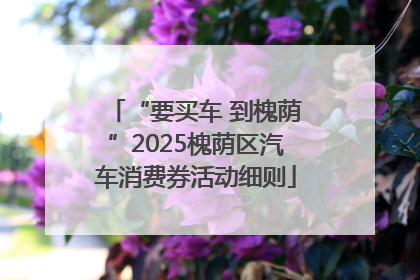 “要买车 到槐荫”2025槐荫区汽车消费券活动细则