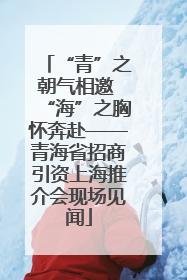 “青”之朝气相邀 “海”之胸怀奔赴——青海省招商引资上海推介会现场见闻