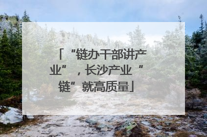 “链办干部讲产业”，长沙产业“链”就高质量