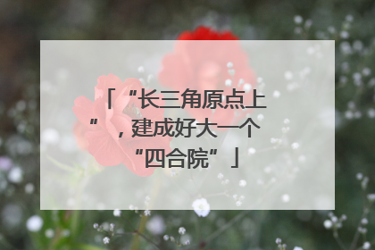 “长三角原点上”，建成好大一个“四合院”